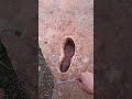 إشارة القدم الدعسة ودلالتها Foot Signal إشارة القدم الدعسة ودلالتها Foot Signal