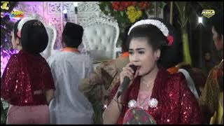 V3 LANGEN TAYUB WAHYU IROMO // PRIYO AUDIO // LIVE KEDIAMAN BP. SURIP SUMBERBENING