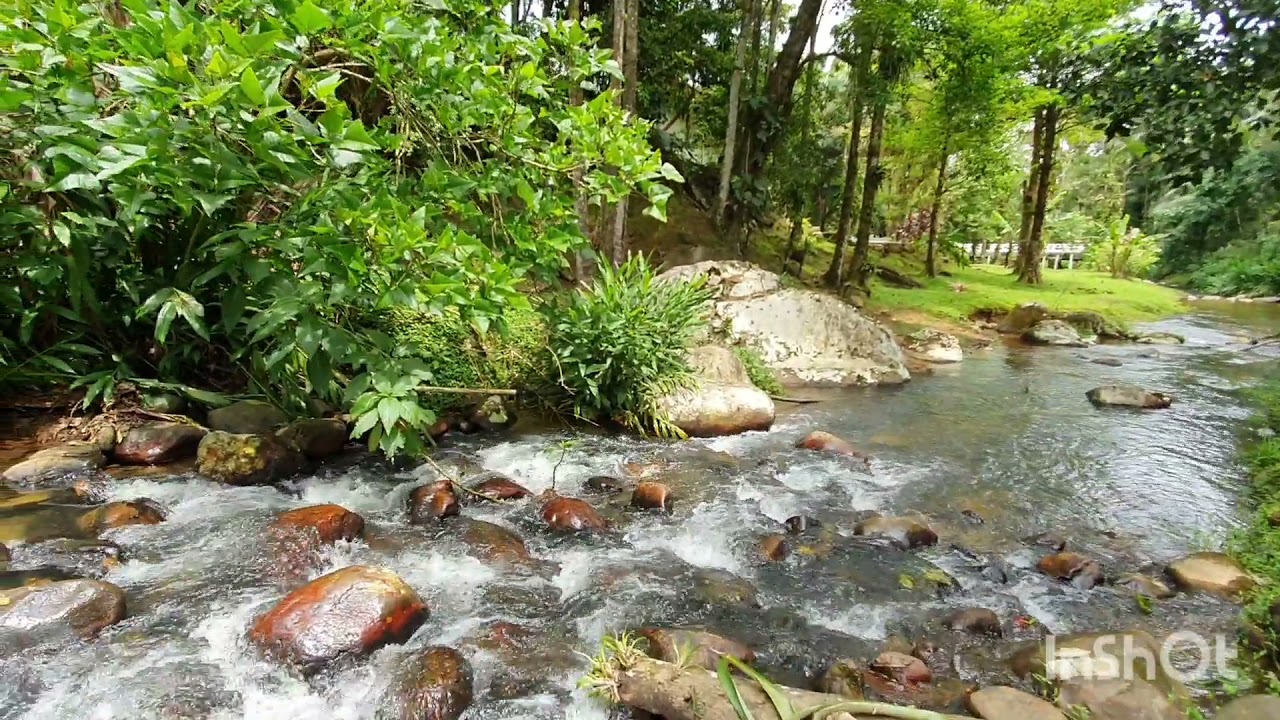 chácara Morretes-PR