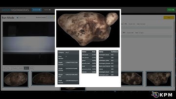 Potato Sorting Grading & Sizing Using AI