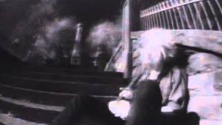 Skinny Puppy - Stairs And Flowers