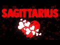 SAGITTARIUS ❤️DONT BE FOOLED BY THEIR SILENCE🤐THEY'RE IN LOVE😍ABOUT TO GIVE U AN IRRESISTIBLE OFFER