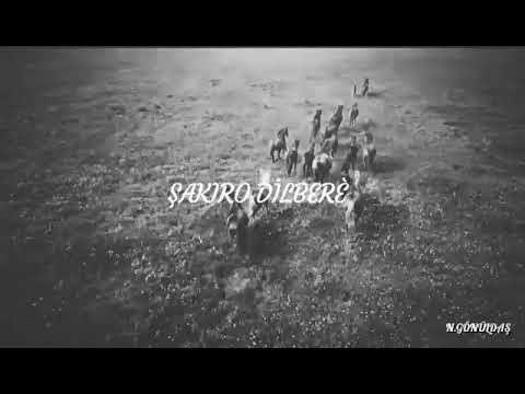 ŞAKIRO DİLBERÈ (EŞSİZ BİR ÇALIŞMA)#dengbej #şakiro #clasicmusic #mezopotamya #kurdish #evgenygrinko