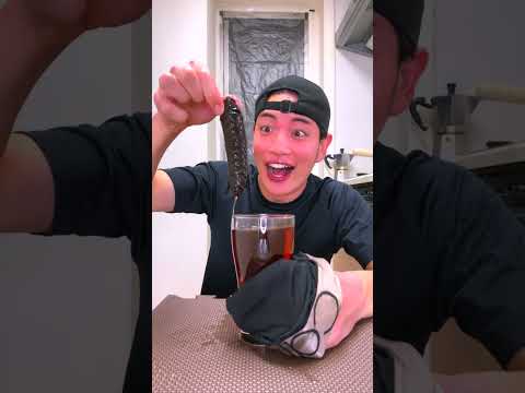 Nonomen Funny Video Singing Medley 