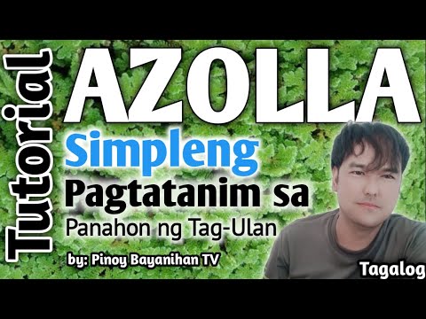Video: Paano Magtanim Ng Algae