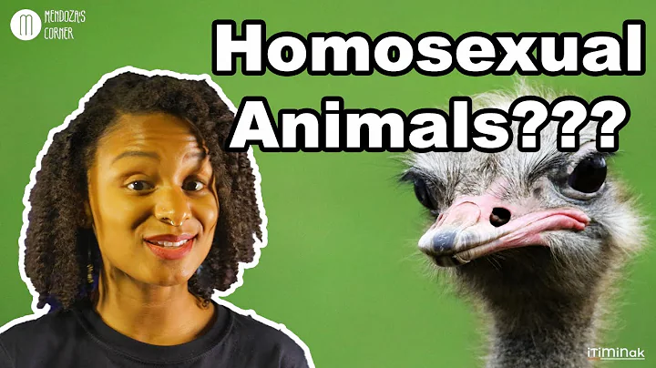 Mendoza's Corner: Homosexuality In Animals with Ki...