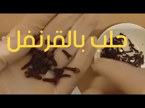 ب 2 قرنفل حرقي قلبو وخليه عليك يهبل يرجع ليك ومتخليلو عقل يجيك باكي تحت رجليك باليل قبل النهار. 