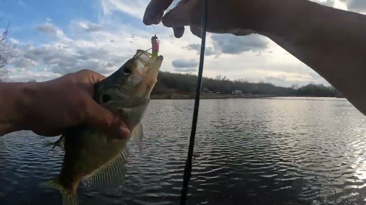 Bank Fishing [Pond Hopping] finding the Crappie