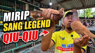 ADA MERPATI MIRIP QIU-QIU‼️DI KIOS RAJA MERPATI CIKARANG SEMUA NYA SERBA ADA‼️