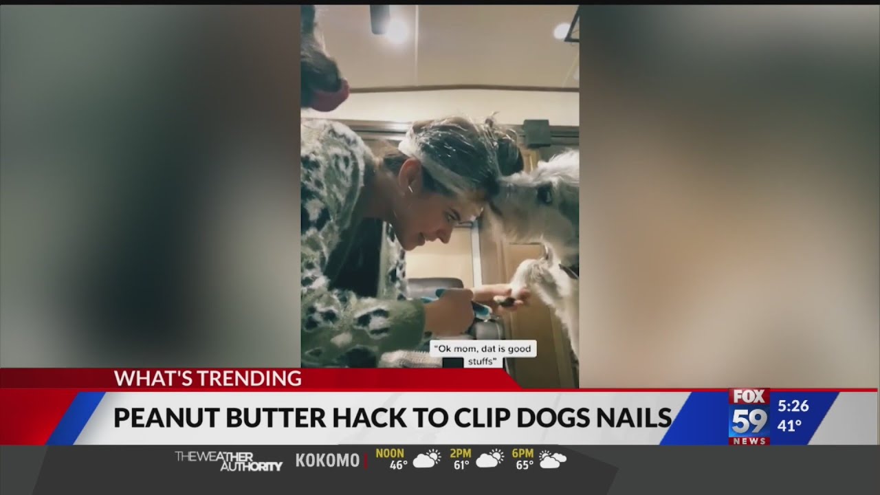 Woman’s genius trick for clipping her dog’s nails goes viral YouTube