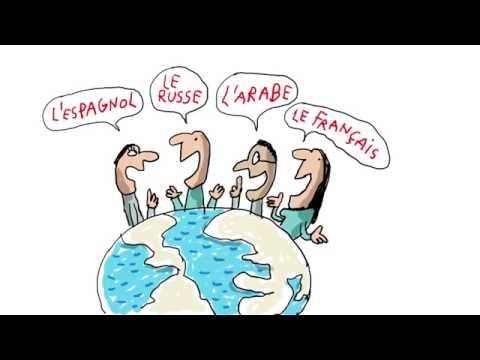 Vidéo: Combien de langues y a-t-il dans le monde ?