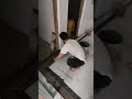 Bordar design bedroom #viralvideo #work