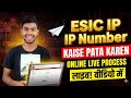 Esic number kaise pta kare | esic number kaise pta kare| esic number kaise nikale| how to get esi