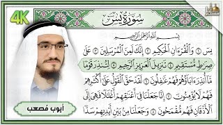 Download Lagu Surat Yasin Quran 4k | سورة يس كاملة القارئ أيوب مصعب تلاوة رائعة مع قراءة جودة عالية MP3