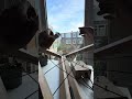 WIRWARP: A Strange Elastic Sound Machine #diyinstruments #experimentalmusic #ableton