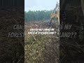 Change Your Forest in to a New Home