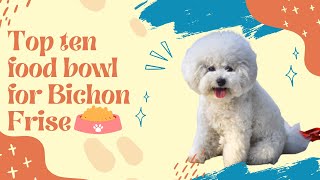 Top ten food bowl for Bichon Frise | The Shocking Truth About Top ten food bowl for Bichon Frise by Pet Knowledge Zone 9 views 1 year ago 4 minutes, 44 seconds