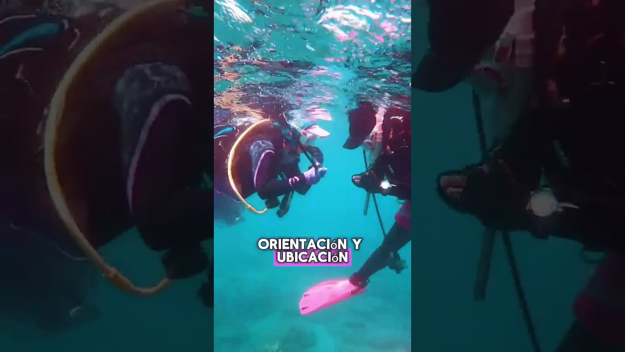 Los 5 pasos del descenso en buceo que NO puedes saltarte 🤿