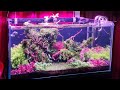 Weekaqua p series  p900 pro led full spectrum aquatic plant light