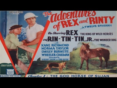Adventures of Rex & Rinty still
