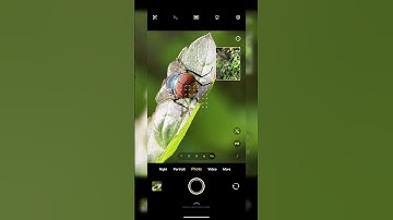 Is this a Microscope?🤯🤯🔥#vivo #vivot4ultra #photography #macrophotography #macro #periscope