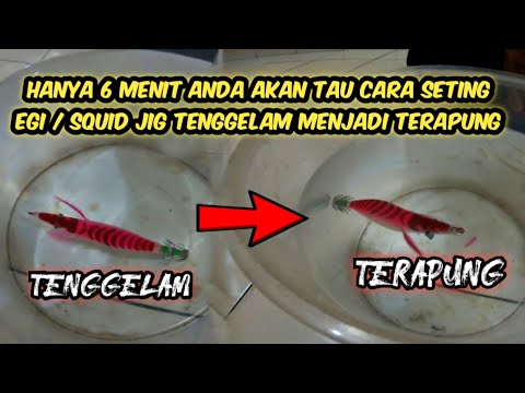 Video: Cara Memasak Ekor Udang Karang Dengan Suluguni