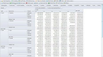 Create & Customize your Tally & MIS report