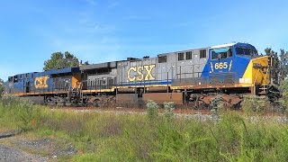 CSX Q141 Tropicana Juice Train In Hanover, Maryland