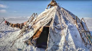 Дома народов Крайнего Севера. Чум. Яранга. Иглу | Факты