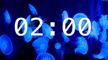 2 Minute Countdown Timer with Alarm | Colorful Jellyfish Timer with Soothing Music