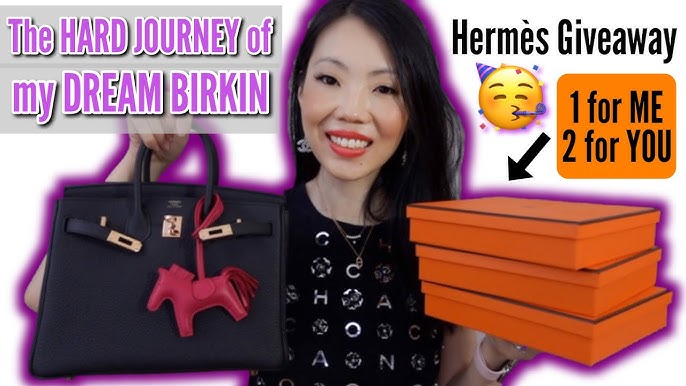 Hermès Unboxing  Birkin 25 Mauve Sylvestre 