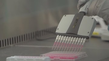 Texas health officials preparing for COVID-19 vaccine distribution by end of October