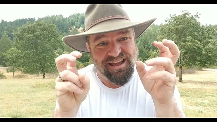 How to help wildlife during a drought.