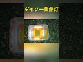ダイソー集魚灯 #Shorts