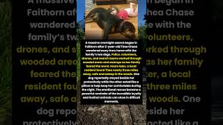 Lost Toddler Found Safe Thanks to Her Loyal Dogs