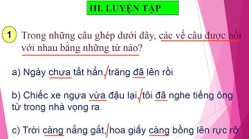 LTVC NỐI CÁC VẾ CÂU GHÉP BẰNG CẶP TỪ HÔ ỨNG TRANG 64  LỚP 5 - TUẦN 24