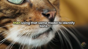 What is Transfer Learning in AI?