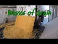 Waves of Grain! Why is it called an Elevator? Hauling Grain to Elevator with Marks' Family Farms