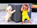 Baby Monkey's Reaction to First Time Meeting with Tiny Newborn Kitten🐱