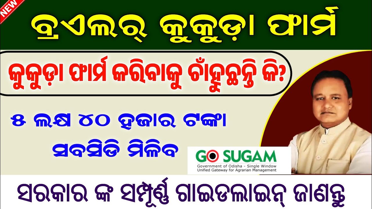Broiler Polutry Farm Full Information // ବ୍ରଏଲର କୁକୁଡ଼ା ଫାର୍ମ ତିଆରି ପାଇଁ ସମ୍ପୂର୍ଣ୍ଣ ଗାଇଡଲାଇନ ଜାଣନ୍ତୁ