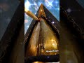 يا إلهي ياسمين الخيام