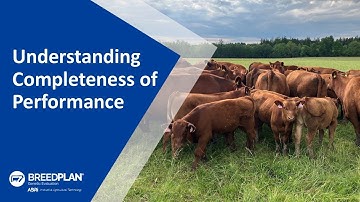 Understanding Completeness of Performance