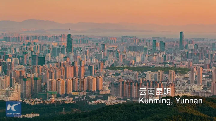 Xinhua Special: COP15 - A key biodiversity meeting for next decade