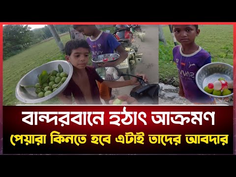 Hrajte si v online kasinu na slot Rabbit Road a zvýšete šanci na výhru!