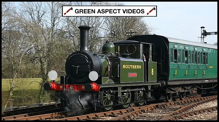 Springtime Terrier - W8 'Freshwater' on the Isle of Wight Steam Railway - 09/03/25