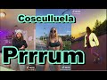 Prrrum - Cosculluela TikTok Dance Compilation  | Best Tik Tok Dance Challenge