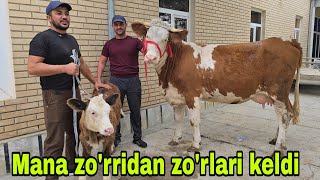 видео: BUXORO ARZONCHISI MIZROBJON AND ASHUR bugun faqatgina liderlari 27 октября 2025 г. картинка: BUXORO ARZONCHISI MIZROBJON AND ASHUR bugun faqatgina liderlari 27 октября 2025 г.