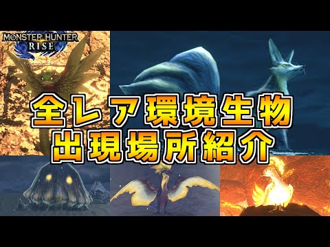 【モンハンライズ】全5種のレア環境生物(希少生物)の出現場所を紹介！【モンスターハンターライズ】