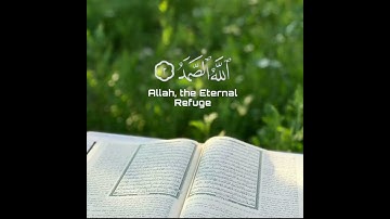 سورة الإخلاص تلاوة خاشعة