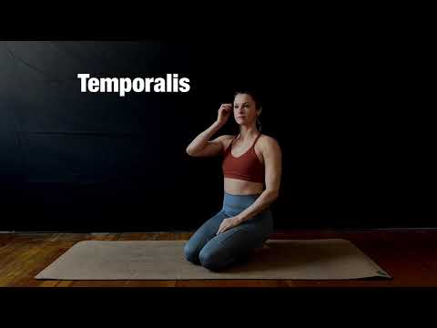 Temporalis